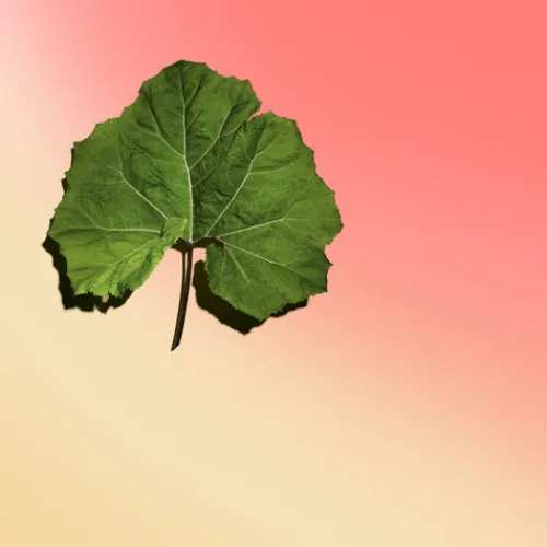 Clarins Body Contouring<Body Firming And Skin Tightening Cream