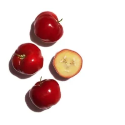 Clarins Face Serums<Bright Plus Face Brightening Dark Spot Serum