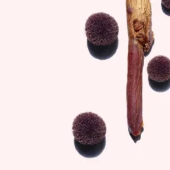 Clarins Cleansers & Toners<Extra-Firming Firming Treatment Essence