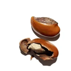 Clarins Hand & Foot Care<Hand And Nail Moisturizing Treatment Cream