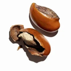 Clarins Body Moisturizers<Moisture-Rich Body Lotion