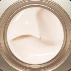 Clarins Moisturizers<Nutri-Lumiere Anti Aging Day Cream For Mature Skin