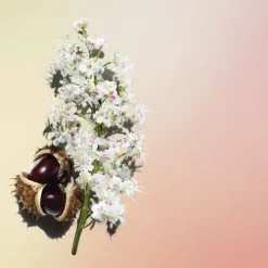 Clarins Moisturizers<Nutri-Lumiere Anti Aging Day Cream For Mature Skin