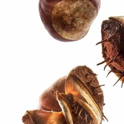 Clarins Moisturizers<Nutri-Lumiere Anti Aging Day Cream For Mature Skin