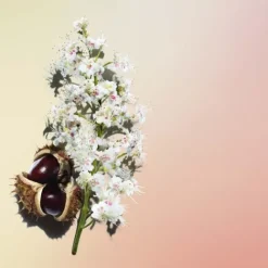 Clarins Moisturizers<Nutri-Lumiere Anti Aging Night Cream