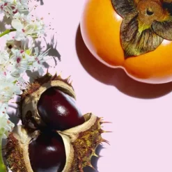 Clarins Moisturizers<Nutri-Lumiere Revive Day Cream - Mature Skin