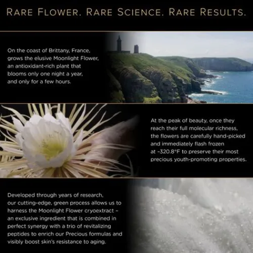 Clarins Clarins Precious<Precious La Creme Yeux Age-Defying Eye Cream