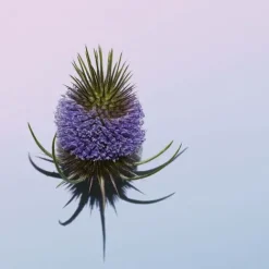 Clarins Eye Care<Total Eye Revive - Eye Gel Cream